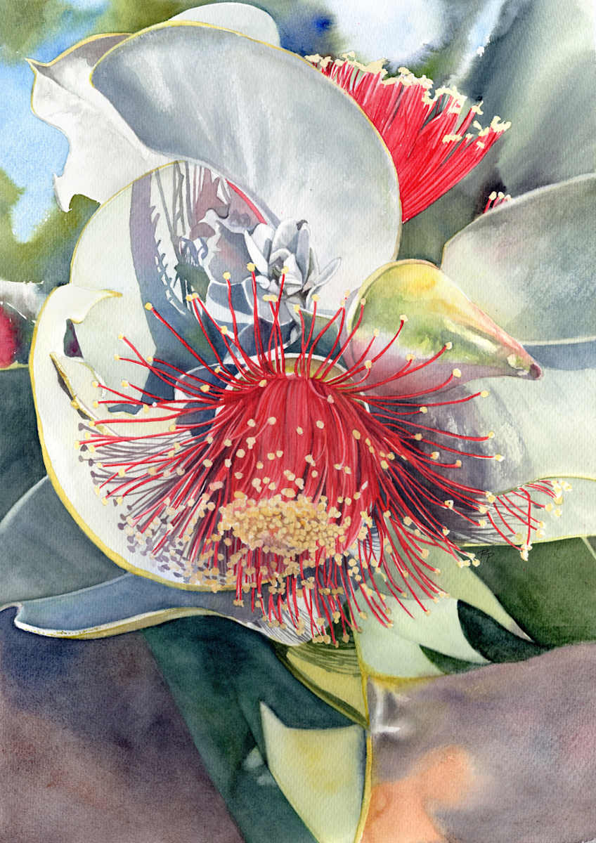 Mottelcah: Light & Shade by Polla Posavec  Image: Mottelcah: Light & Shade (Eucalyptus Macrocarpa)
