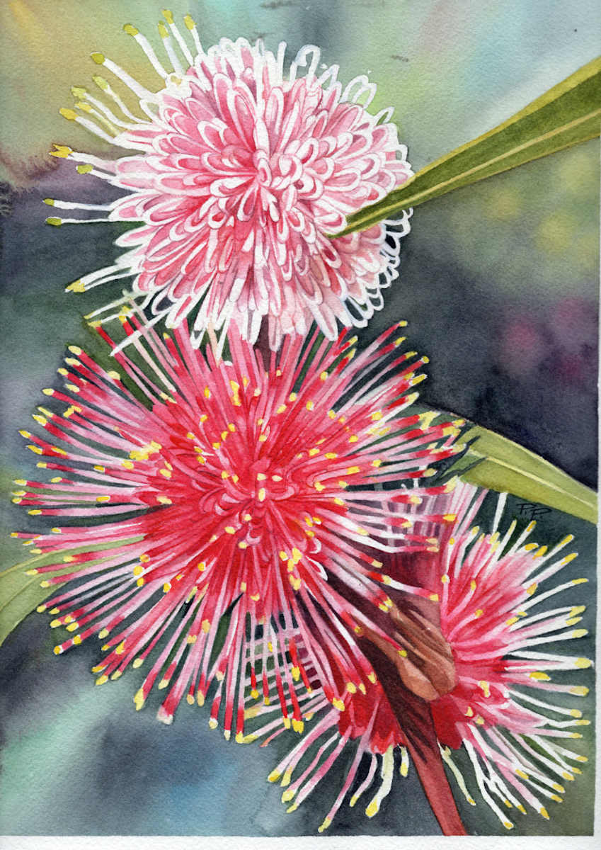 Pincushion Perfection by Polla Posavec, Image 2.