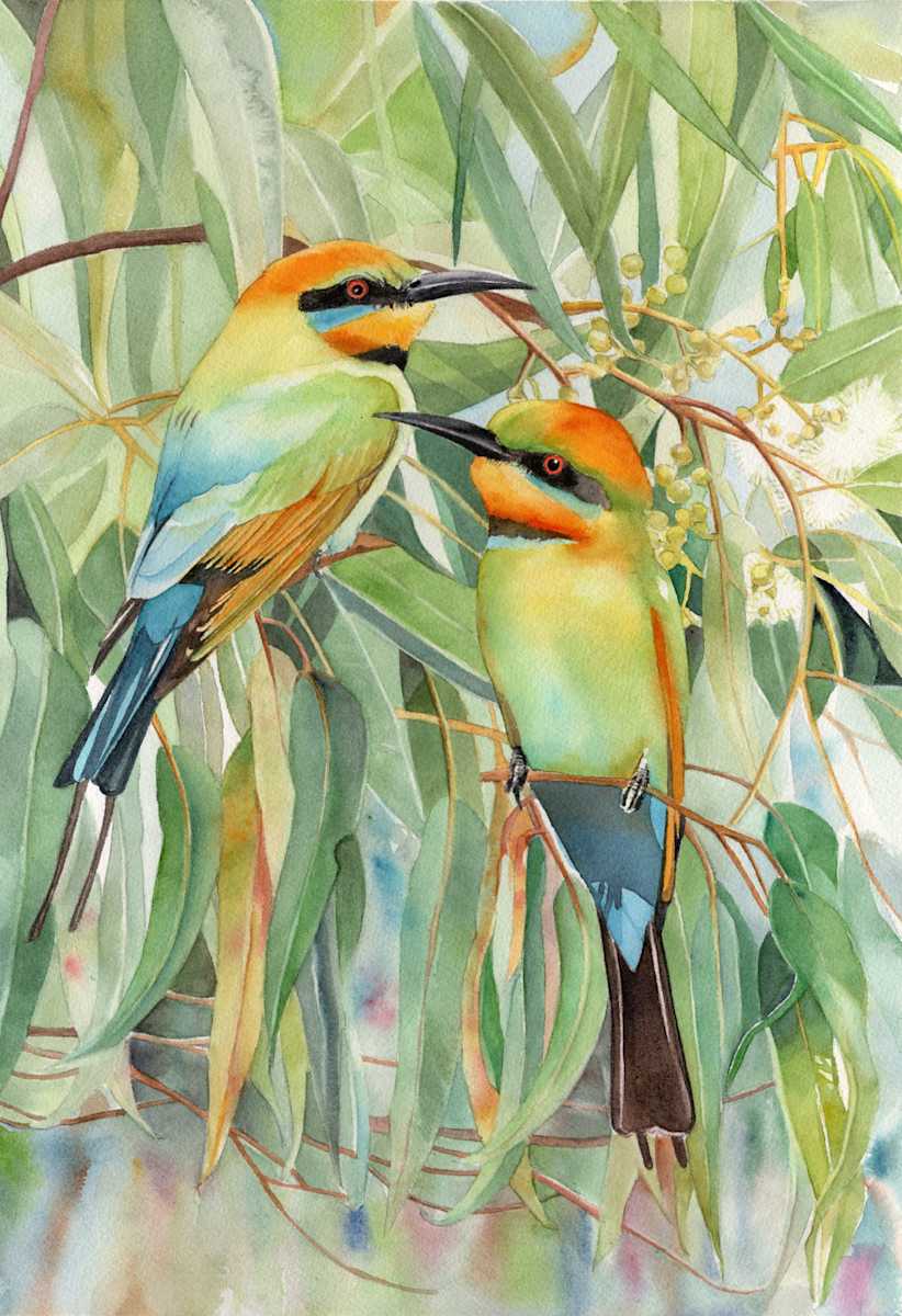 Rainbow Bee-Eaters by Polla Posavec 