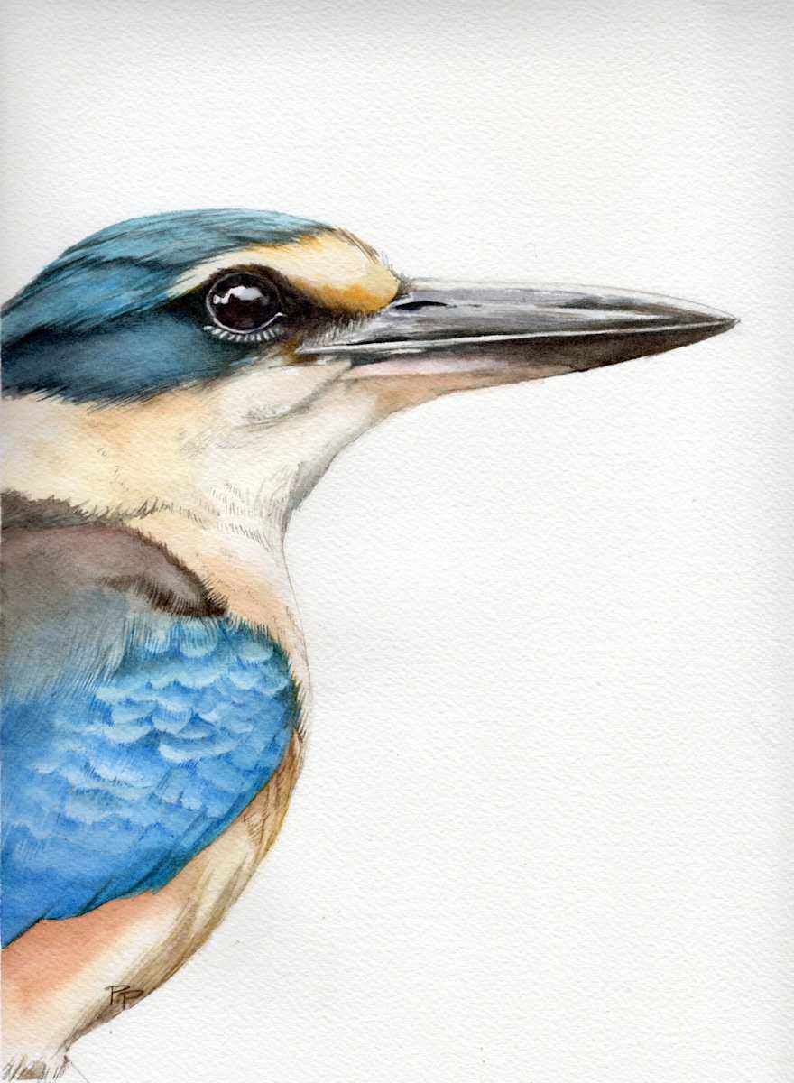 The Fisher King - Sacred Kingfisher Portrait by Polla Posavec 