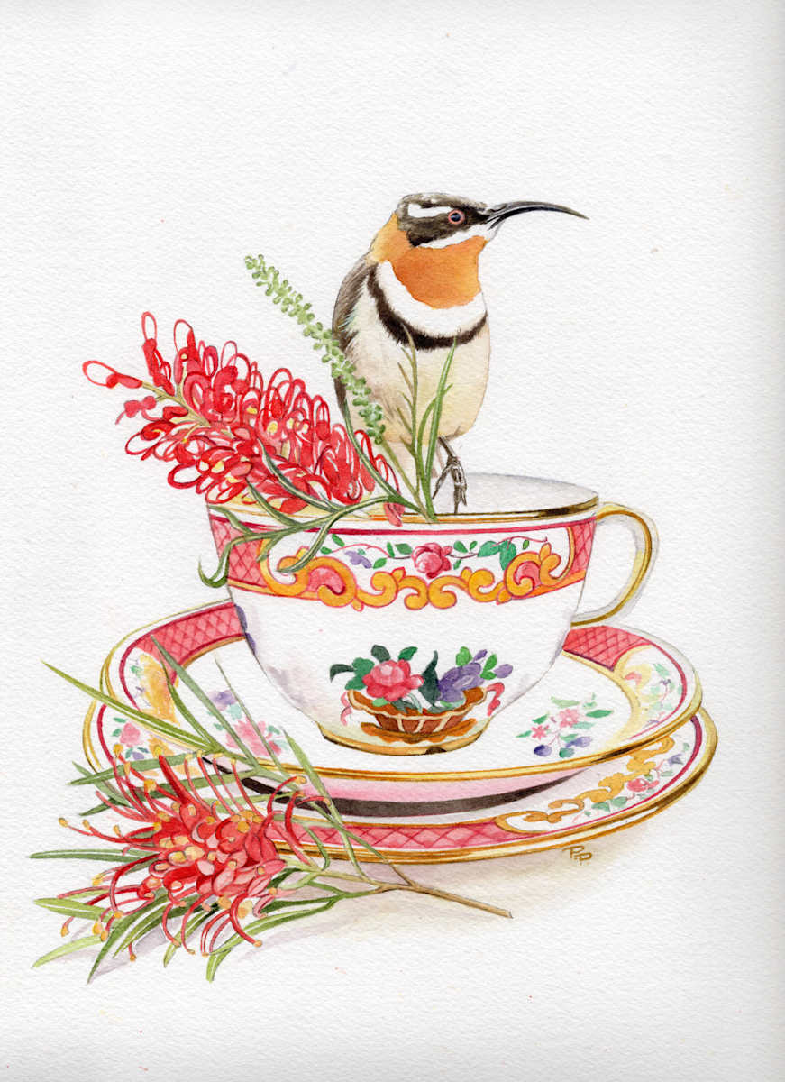 Spinebill and Grevillea by Polla Posavec, Image 10.