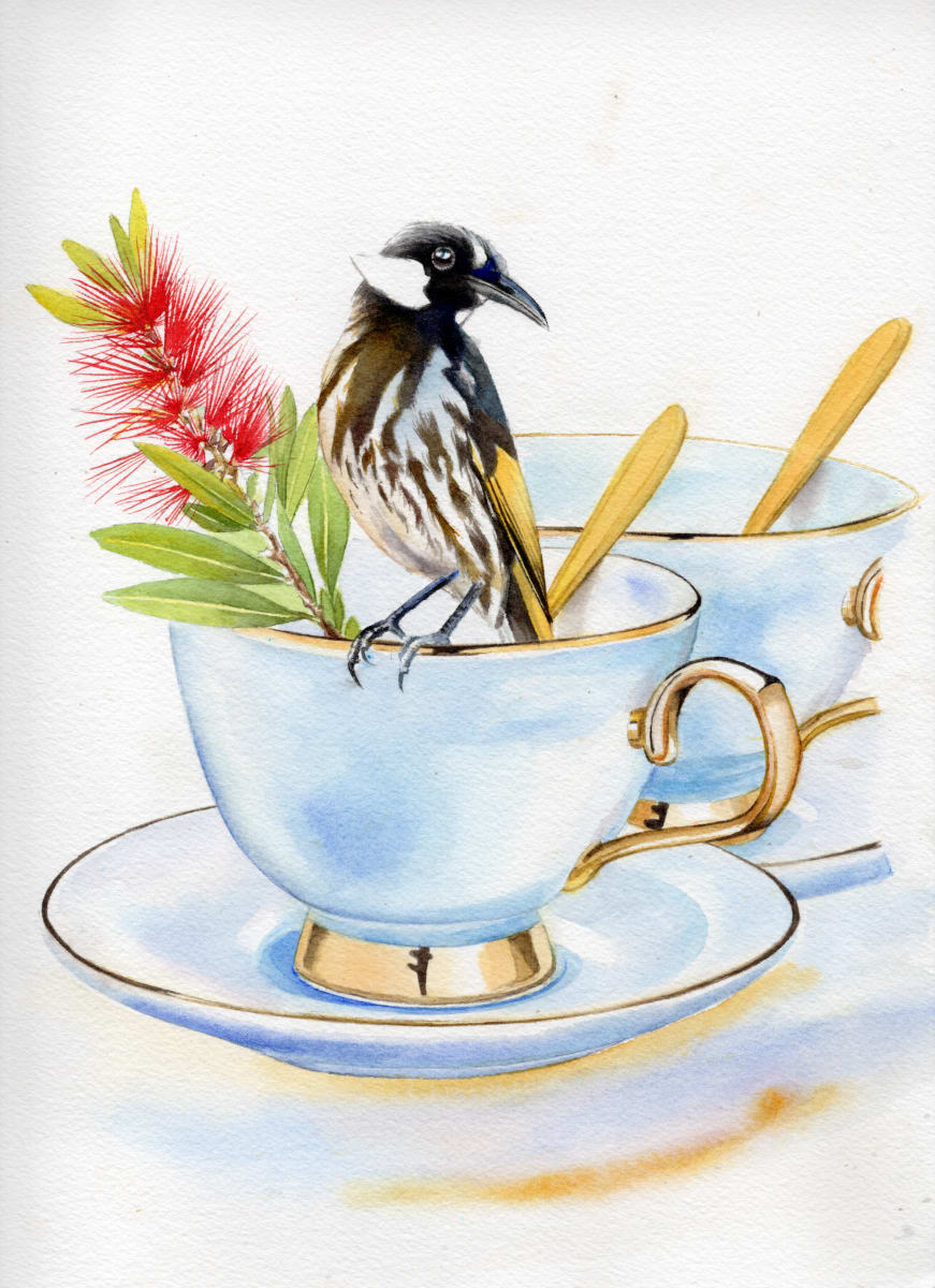White-cheeked Honeyeater and Bottlebrush by Polla Posavec 