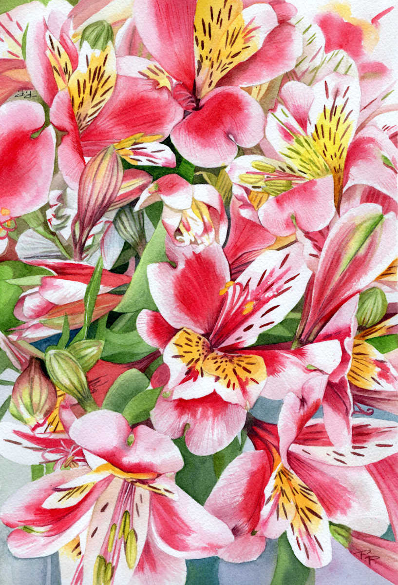 Alstroemeria Fireworks by Polla Posavec 