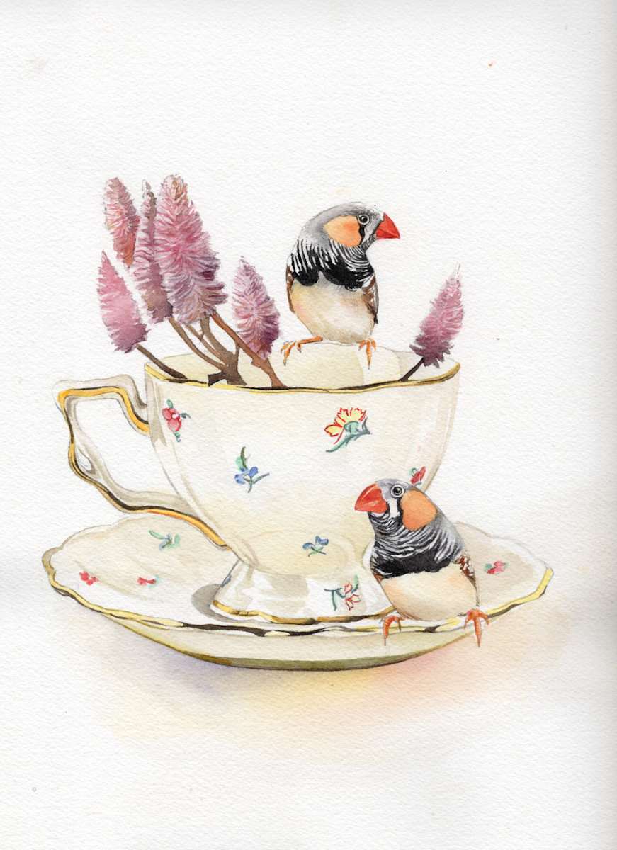 Zebra Finches and Mulla Mulla by Polla Posavec 