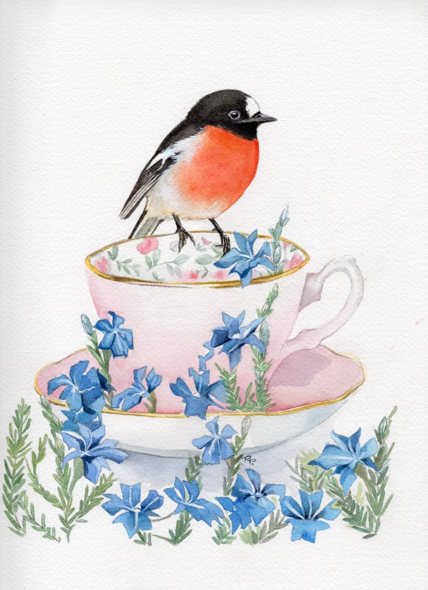 Male Scarlet Robin and Leschenaultia by Polla Posavec 