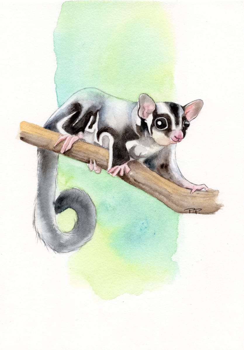 Sugar Glider (mini) by Polla Posavec 