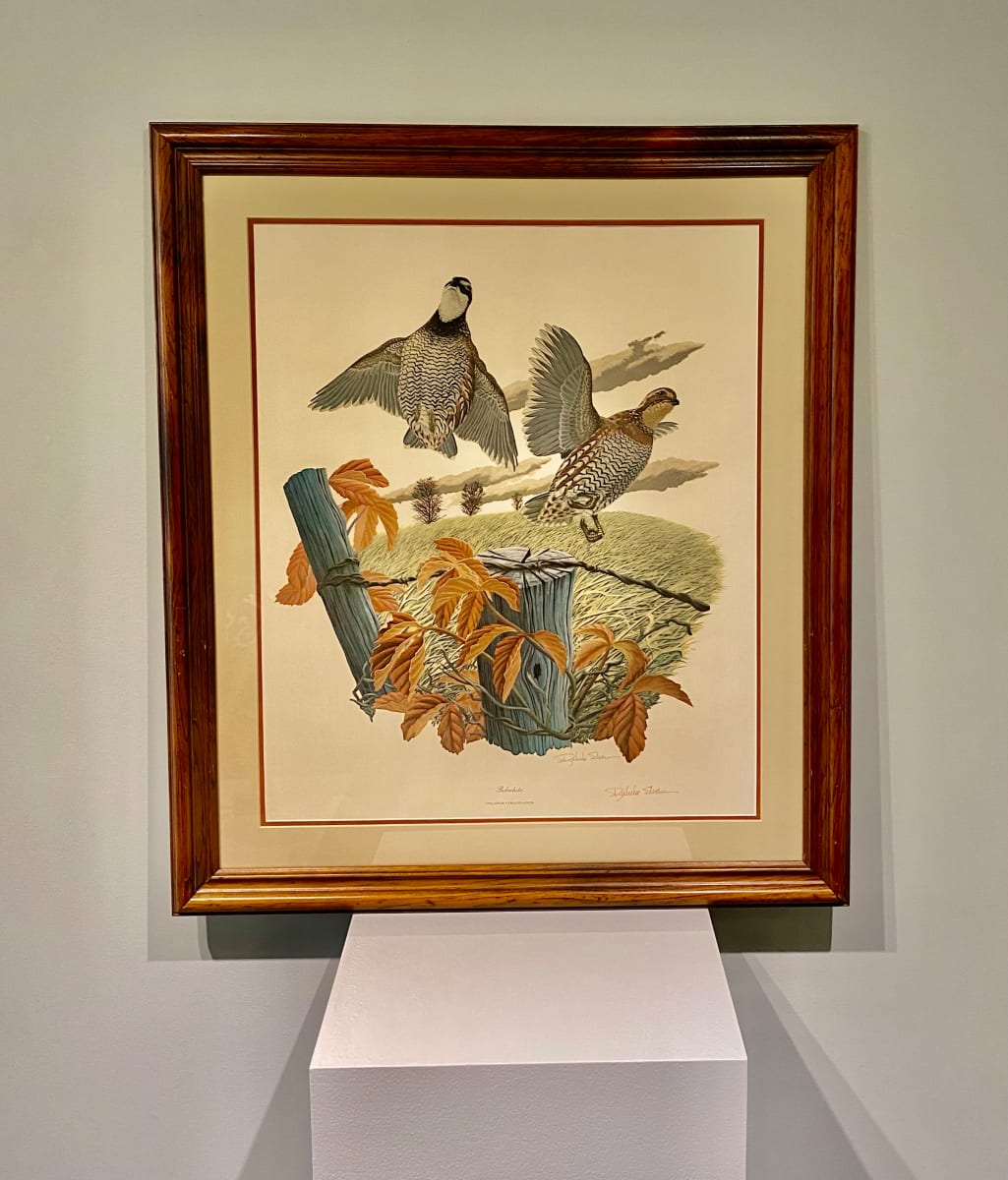 "Bobwhite" a member of the quail bird family - Richard Sloan Limited Edition Print: 1 of 6 - Donated by Paul and Kim Attwater by Richard Sloan  Image: 1 of 6 various wildlife scenes available by renowned artist Richard Sloan