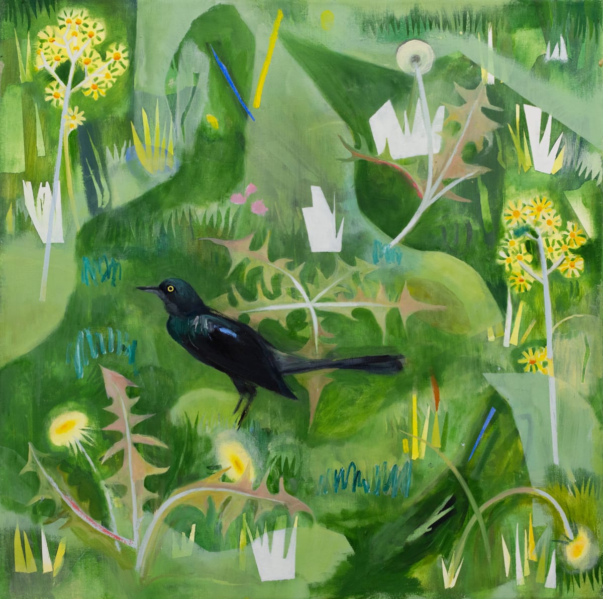 Grackle by Sarah Pearce  Image: 4 MB