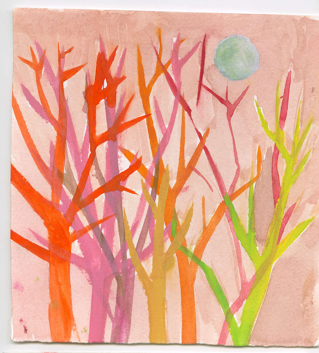 Orange branches by Sarah Pearce, Image 1.