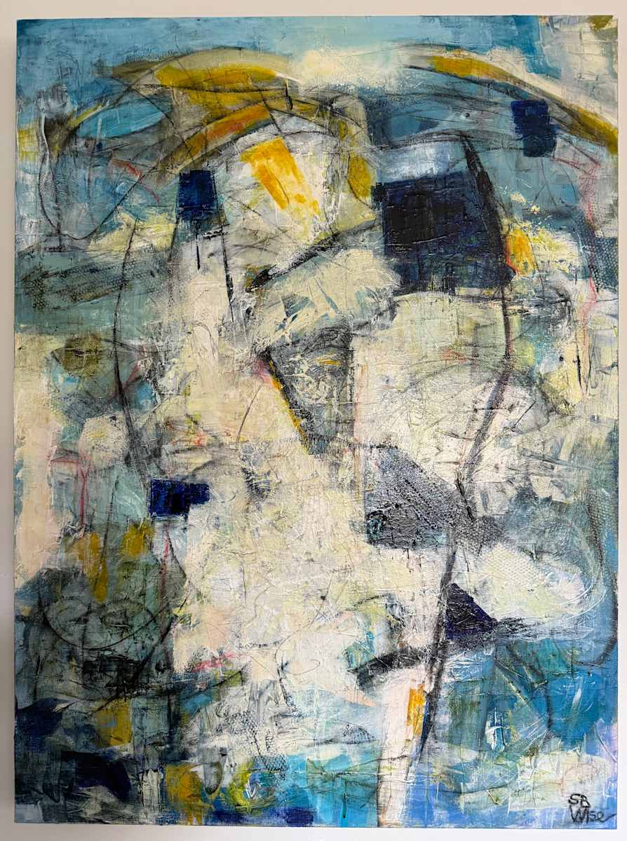Trampoline #2 by Susan  Wise 