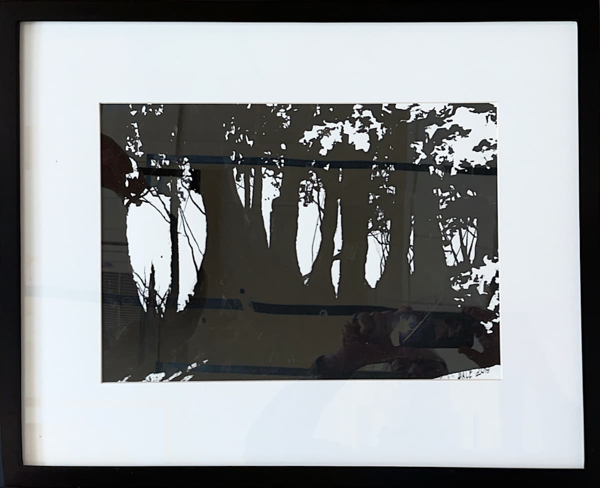 Chippewa Oaks by Dale Whittaker, Image 1.