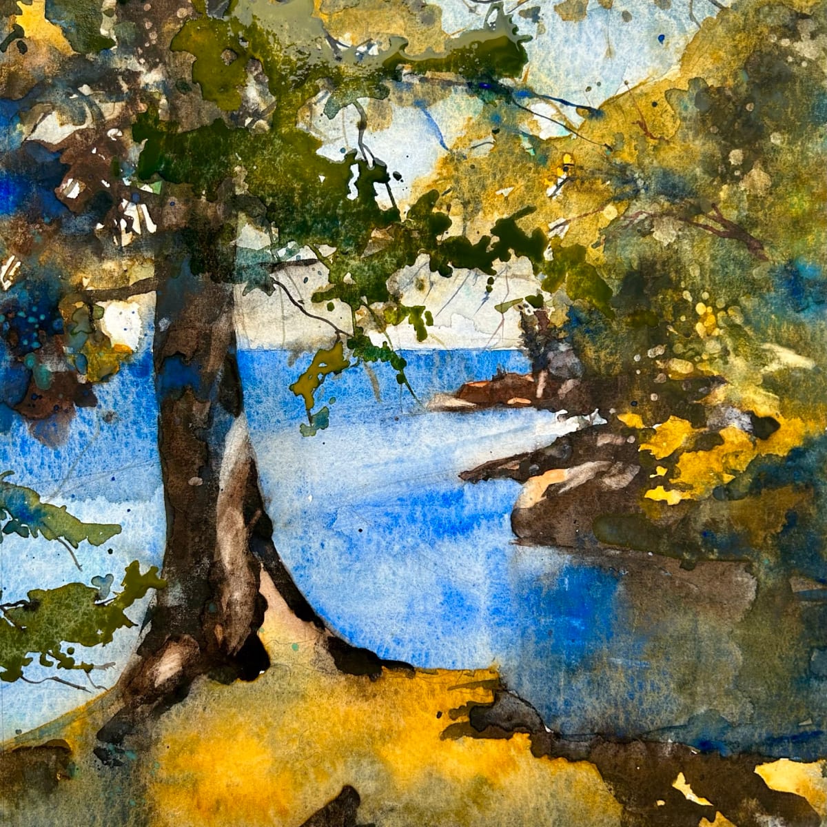 Big Bay Cliffs by Dale Whittaker  Image: An oak tree stands over a cove along the loop trail at Big Bay State Park on Madeline Island.