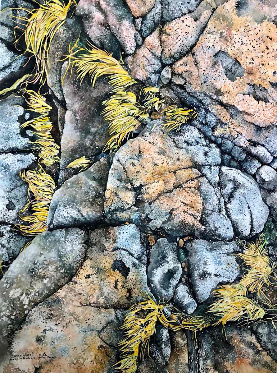 Grass in Rocks by Lance Wurst, Image 1.