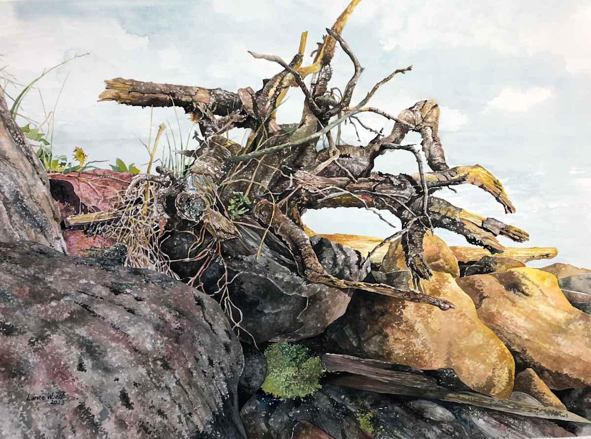 Grant's Point Driftwood by Lance Wurst, Image 1.