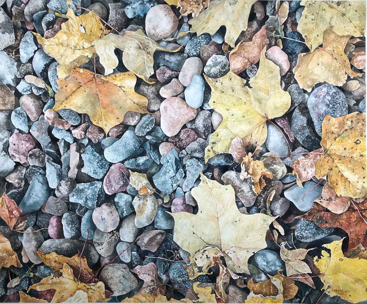 Maple Leaves in Rocks by Lance Wurst, Image 1.