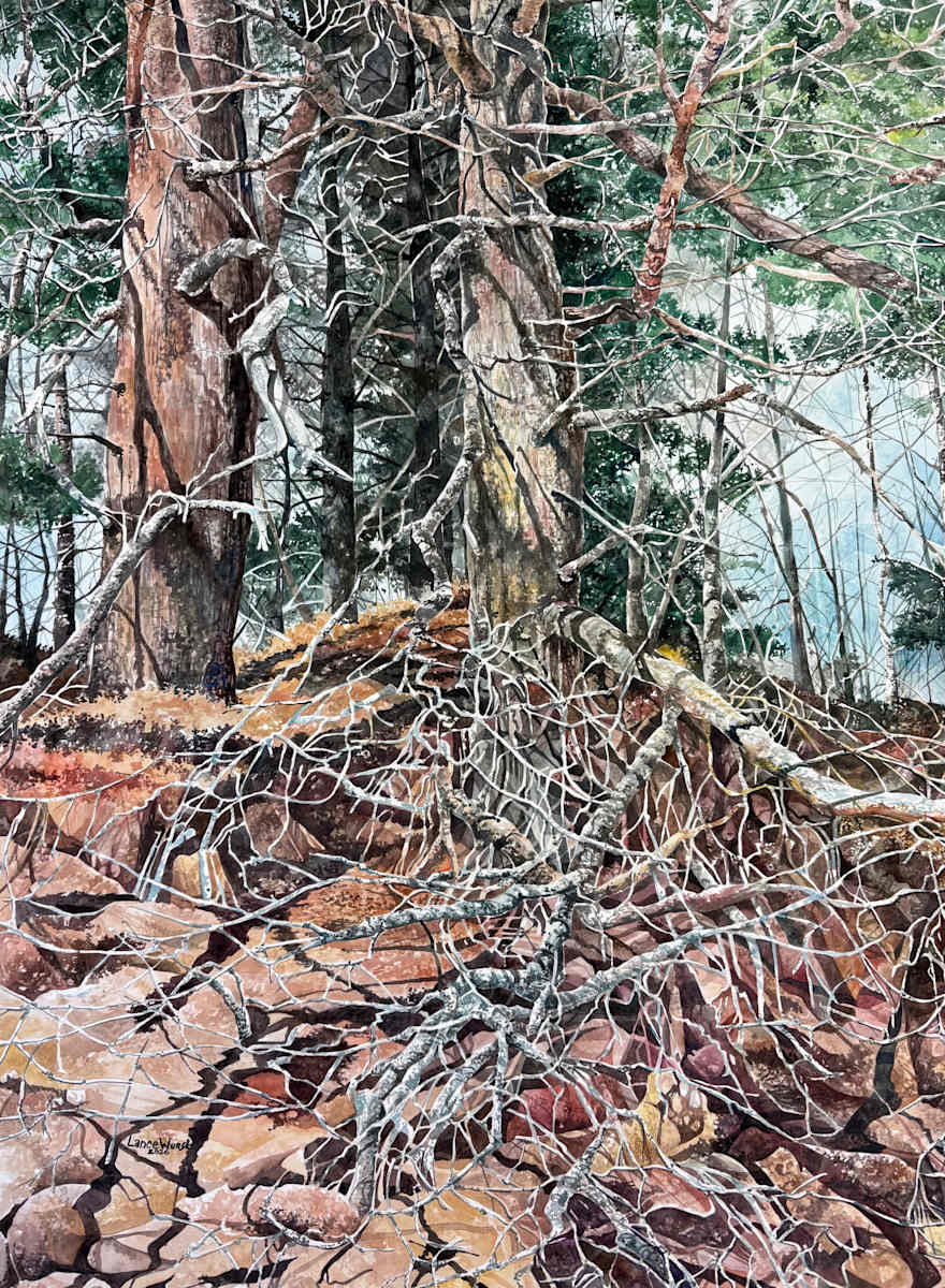 Big Bay Tree Roots by Lance Wurst, Image 1.