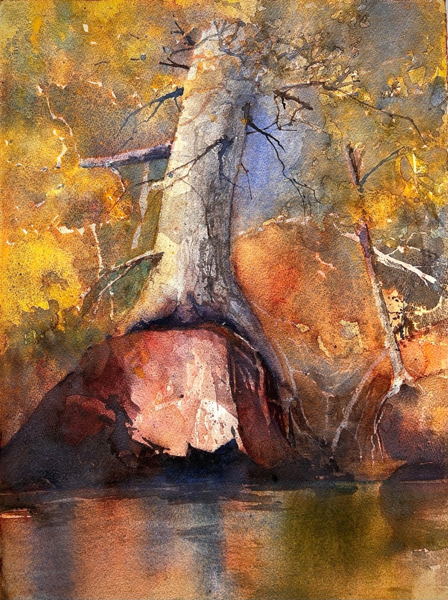 Permanence: Stone Wood Water by Dale Whittaker  Image: Along Basswood Island under the eye of a watchful eagle, a hundred year old tree grips a ten thousand year old stone over a reflection that is always changing.  Time is measured by seconds, years, and millenia here.