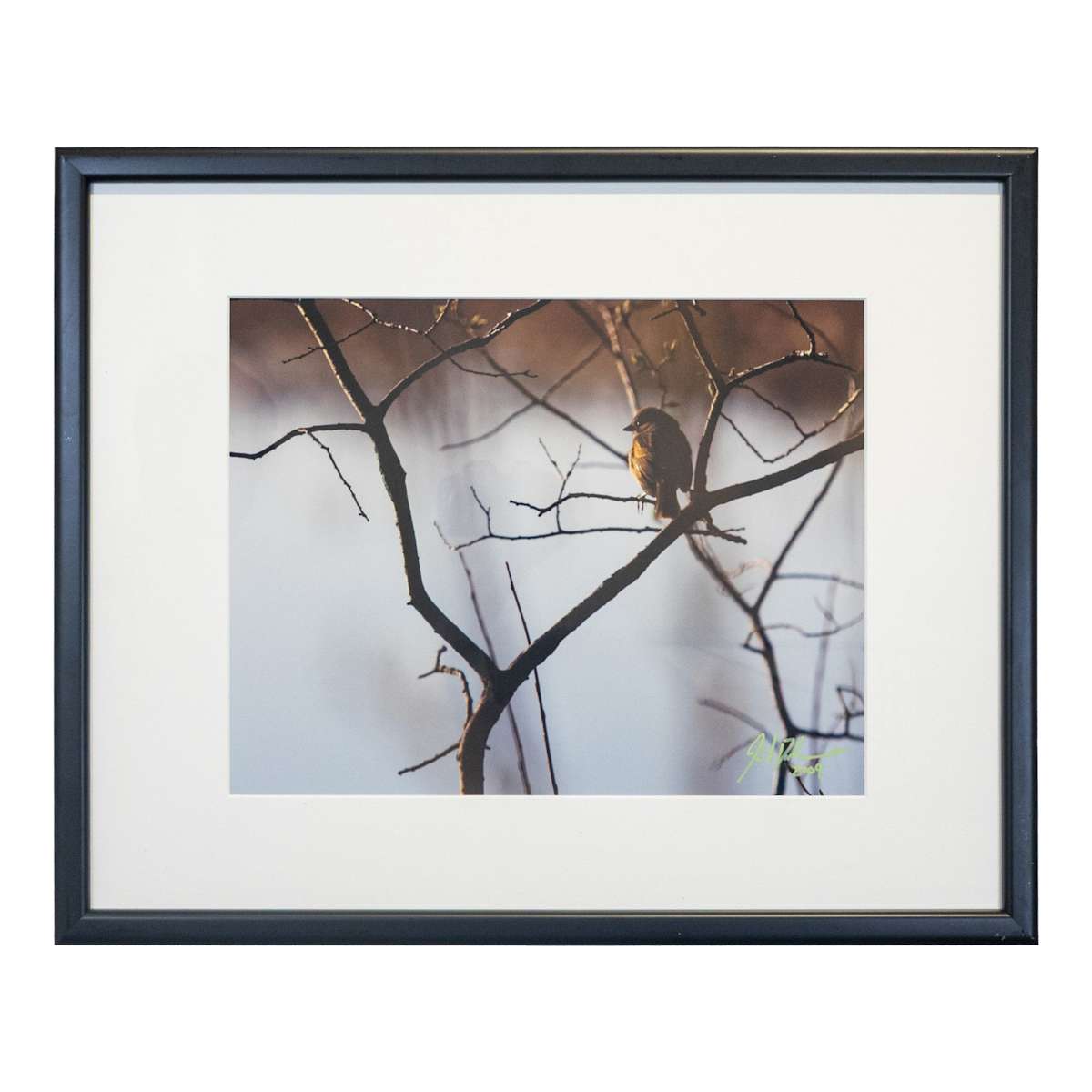 Au soleil du matin by Joël Ducharme 