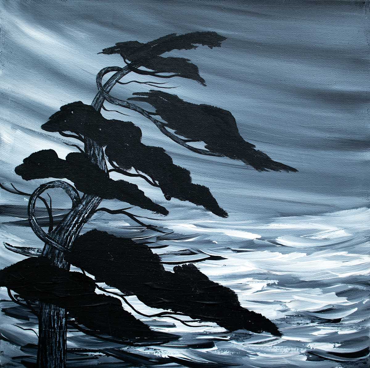 wind shore by Heather Wallingford, Image 2.
