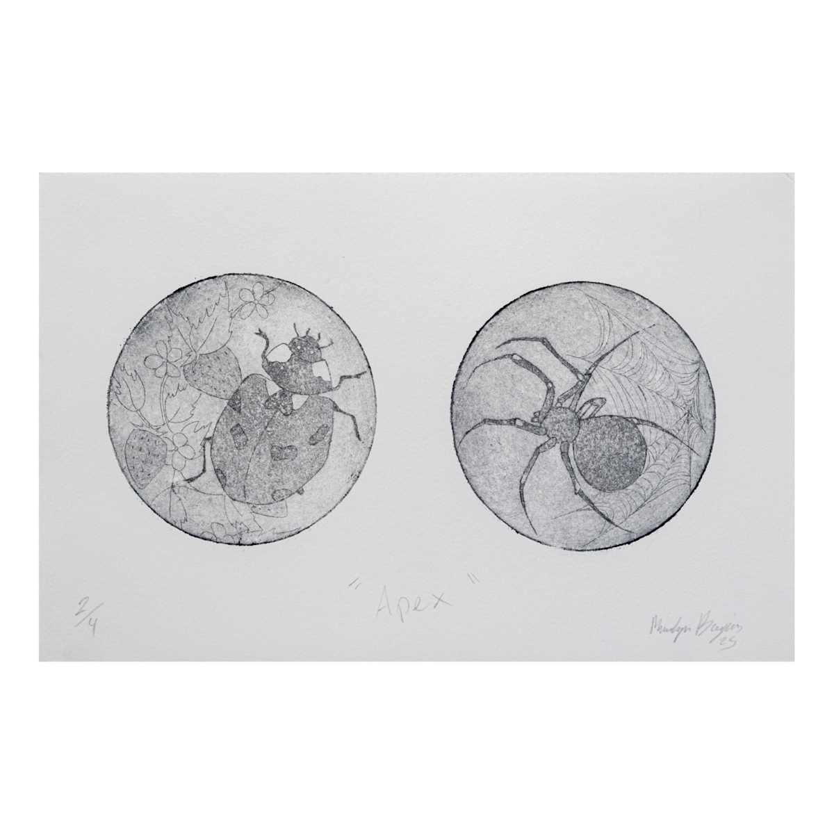 Apex by Madalyn Bujas, Image 3.