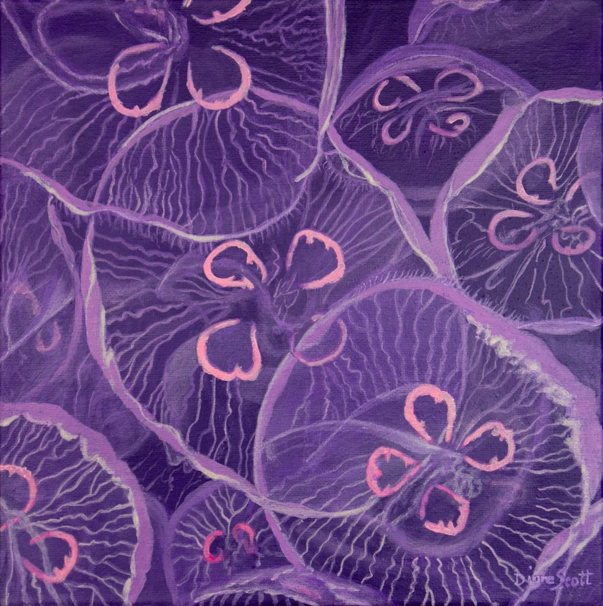 Jellies by Diane Scott 