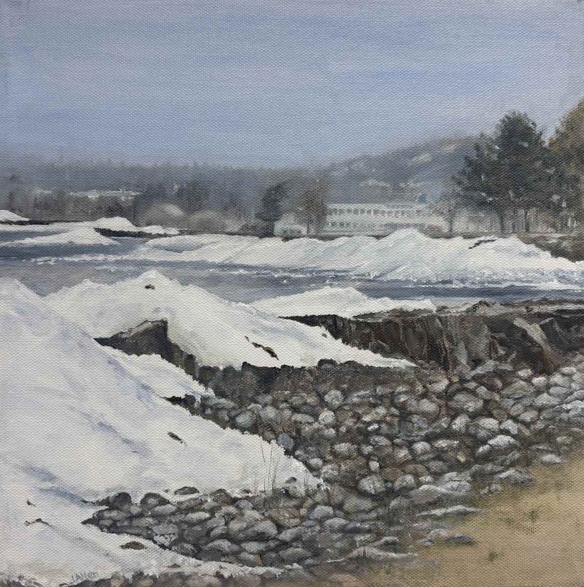 Ice Shore 2025 by Jean Allen 