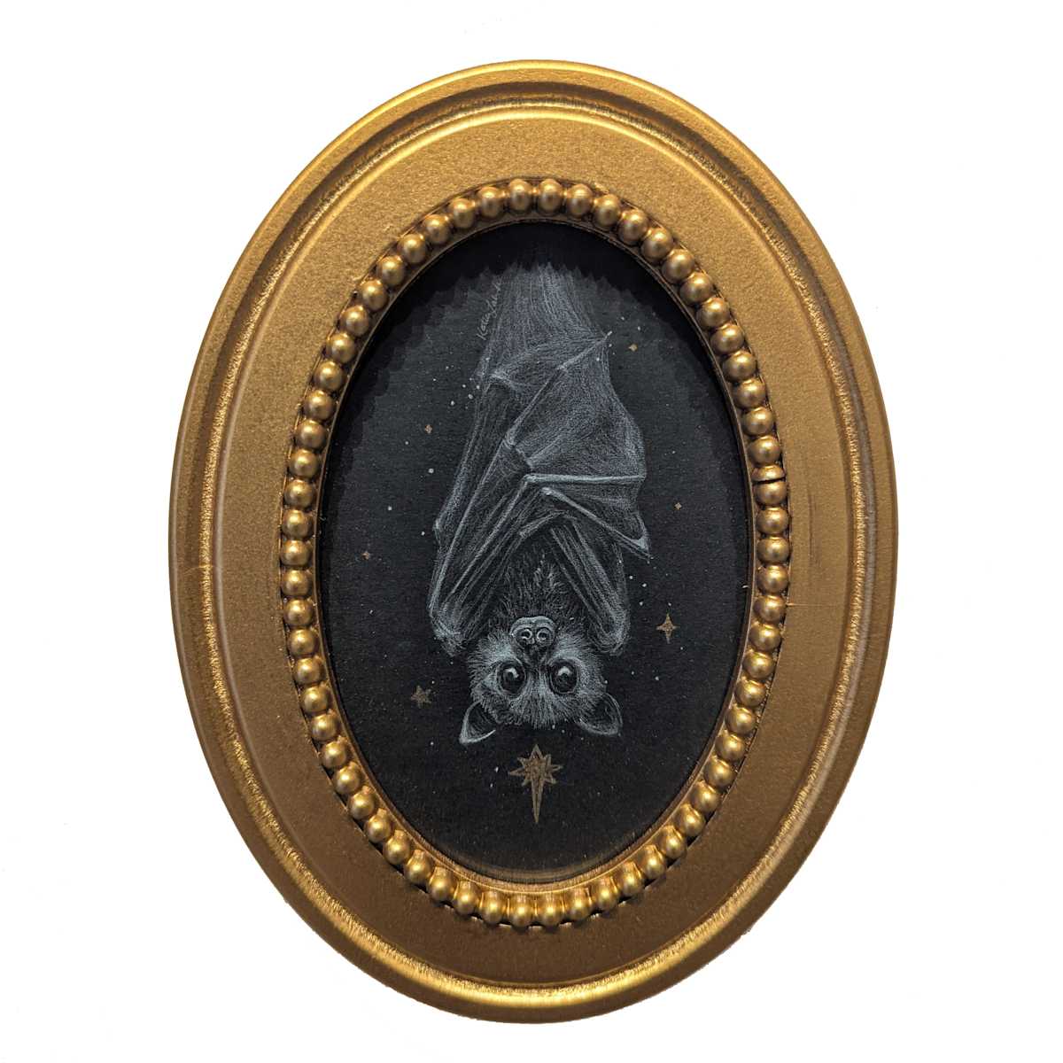 Bat Star Gazer by Katia Labranche 