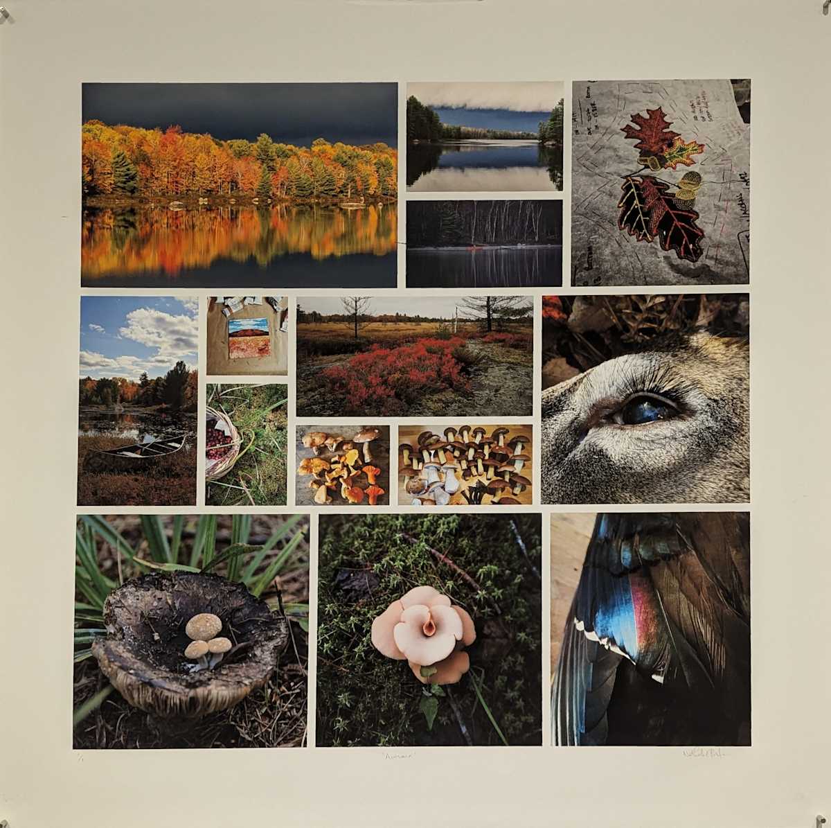 Autumn by Nathalie Bertin 
