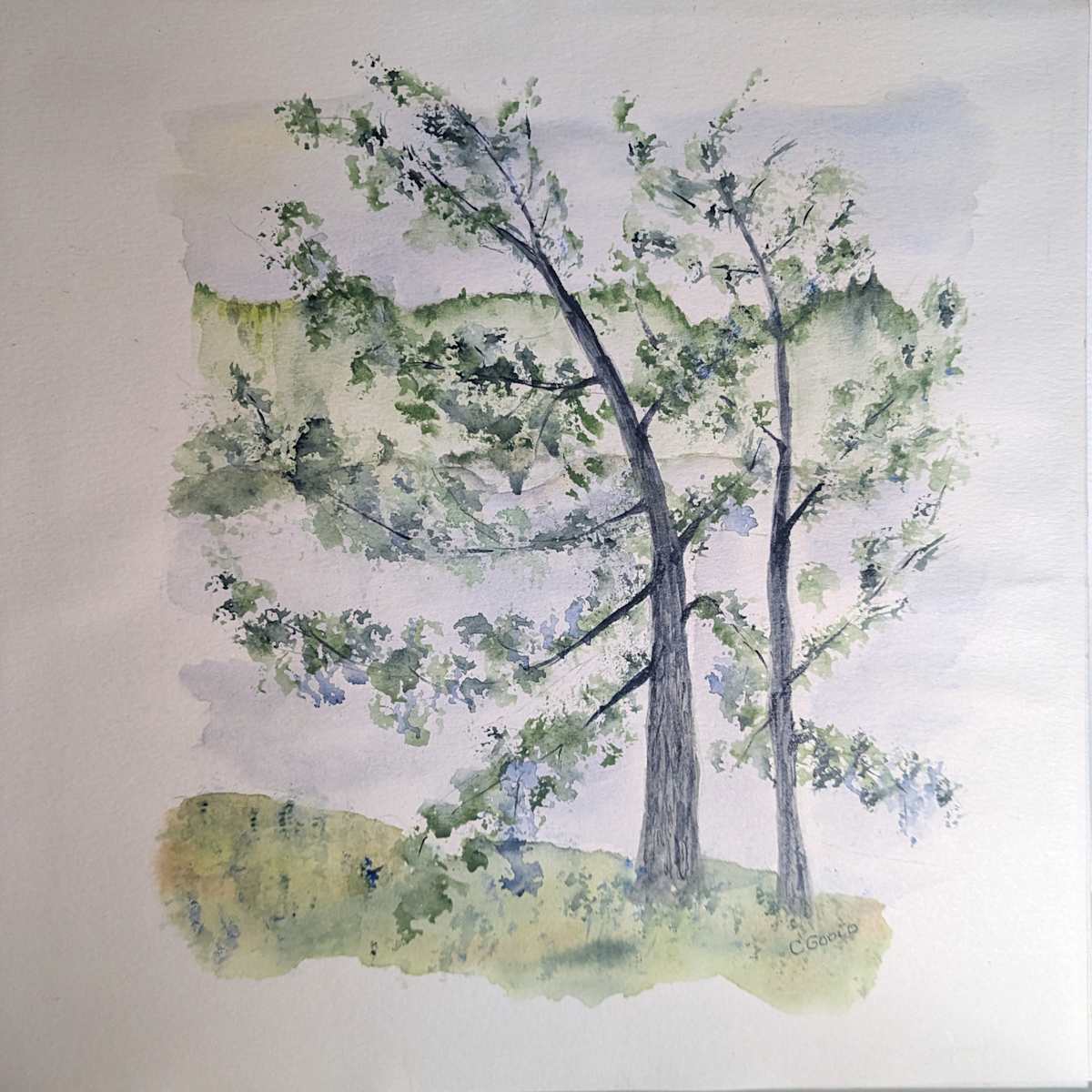 MISTY MORNING ON THE FRENCH by Cheryl Gould 