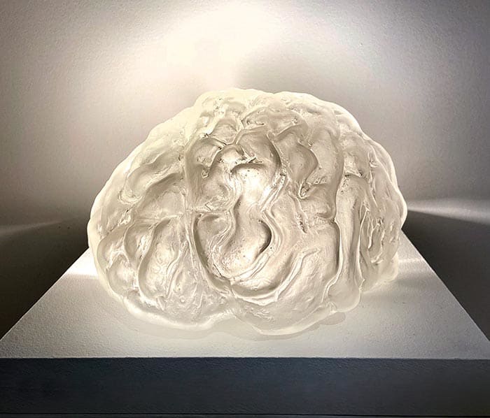 Glass Brain by Joan Harmon 