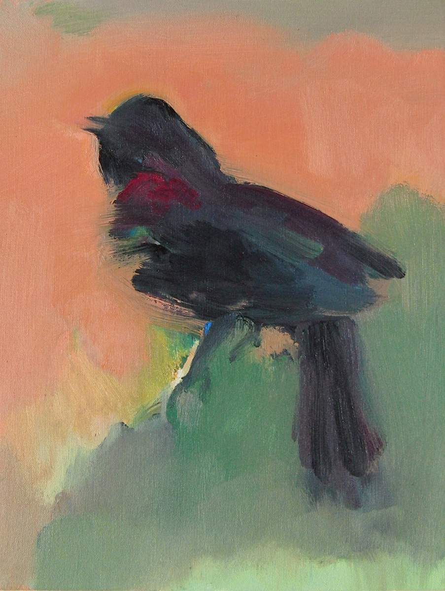 Red-wing 2 by Sharon Falk 