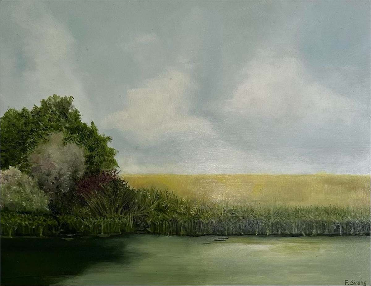 Marsh Mellow by Phyllis Sirois 
