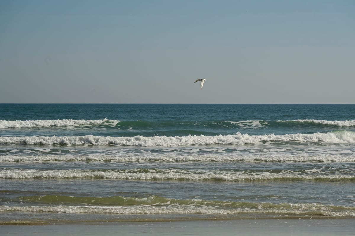 Tranquility by Louise Olko  Image: The gift of the sea 