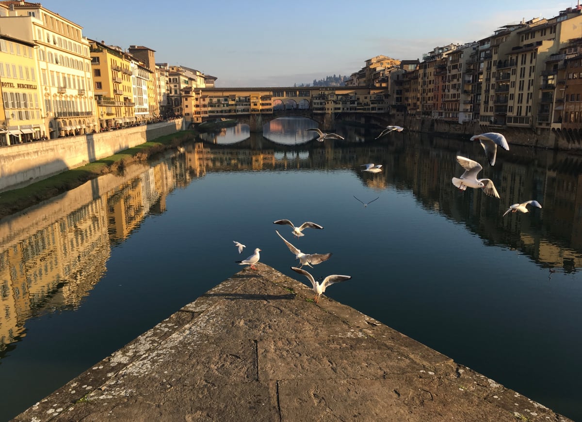 Flight 2 by Louise O 