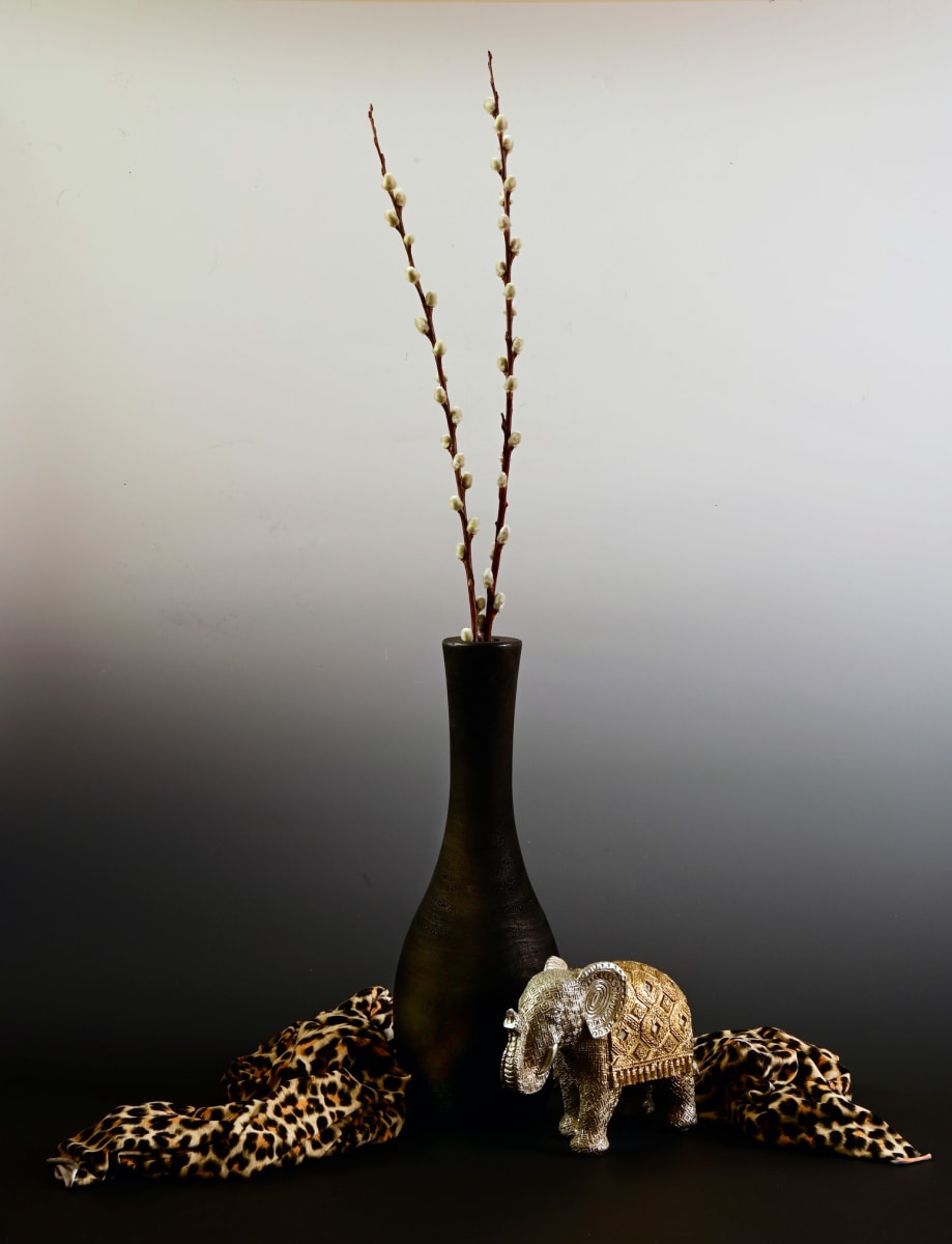 Studio Safari by Louise Olko  Image: Studio Safari 