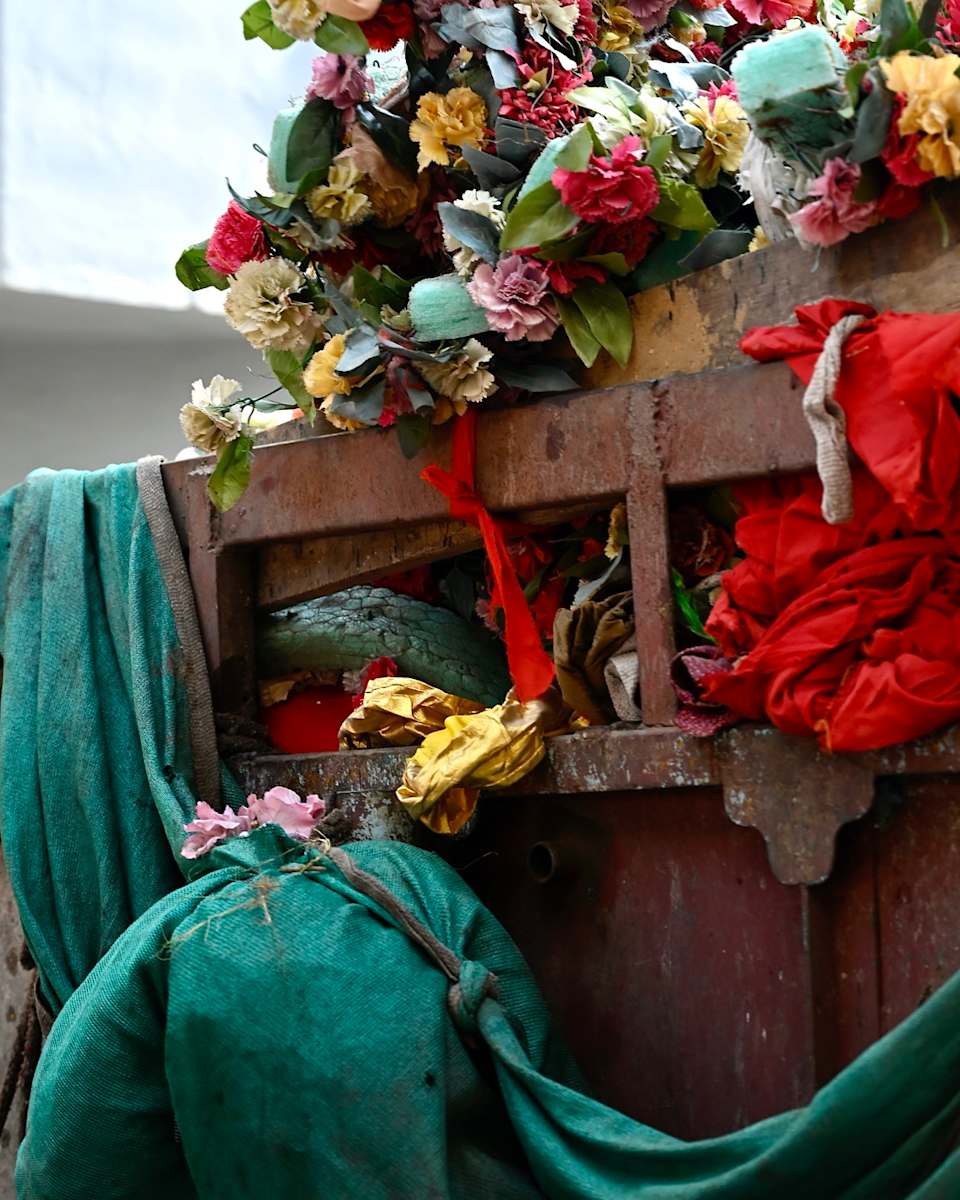 Sentients by Louise O  Image: Jaipur Streets