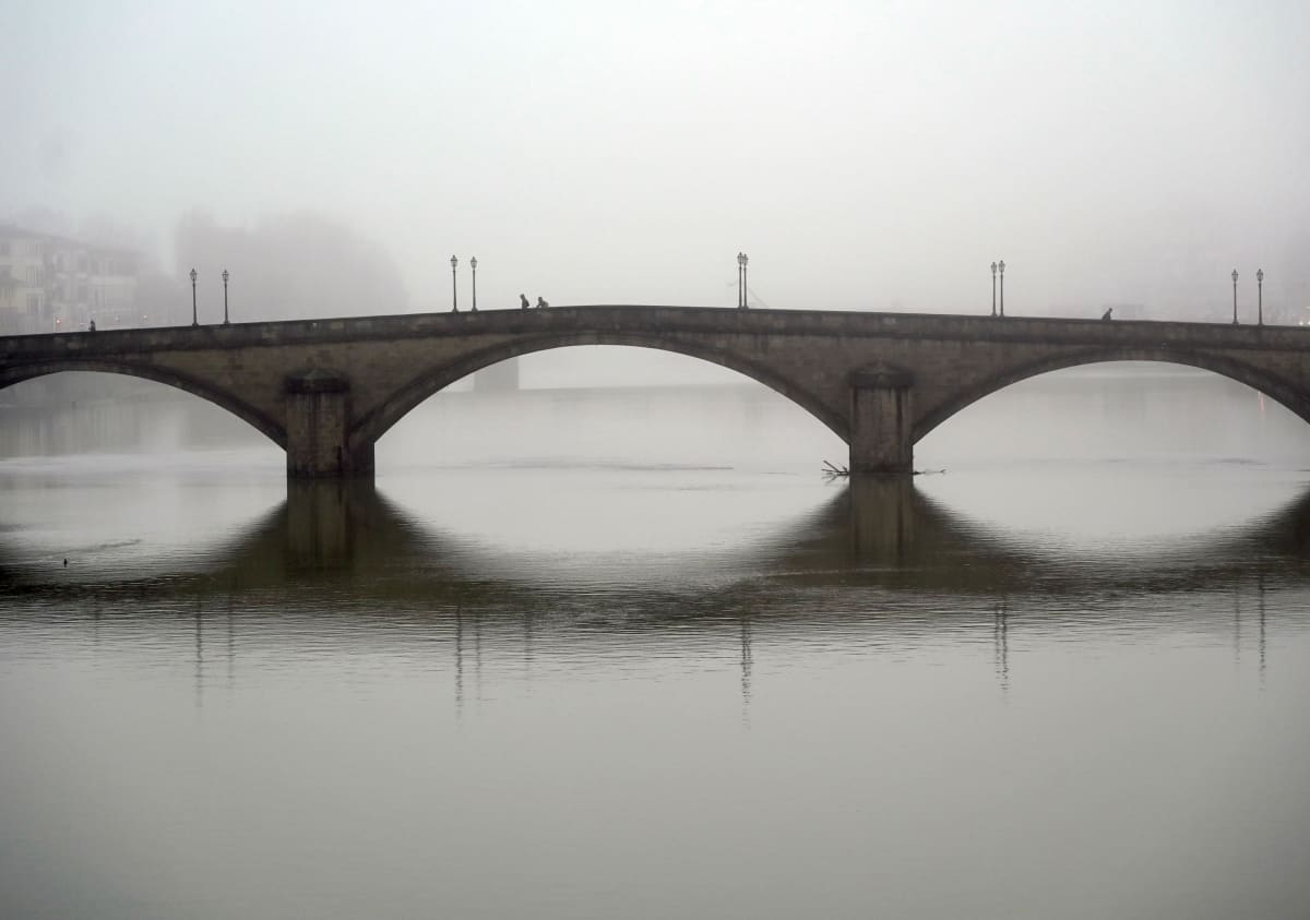 Follow the Leader by Louise O  Image: Ponte Carraia