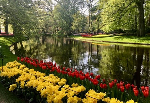 Spring Reflections by Louise Olko 