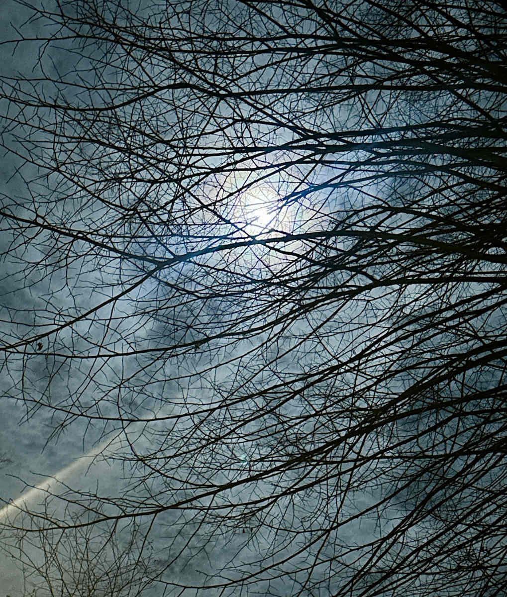 Abstract 25 by Louise O 