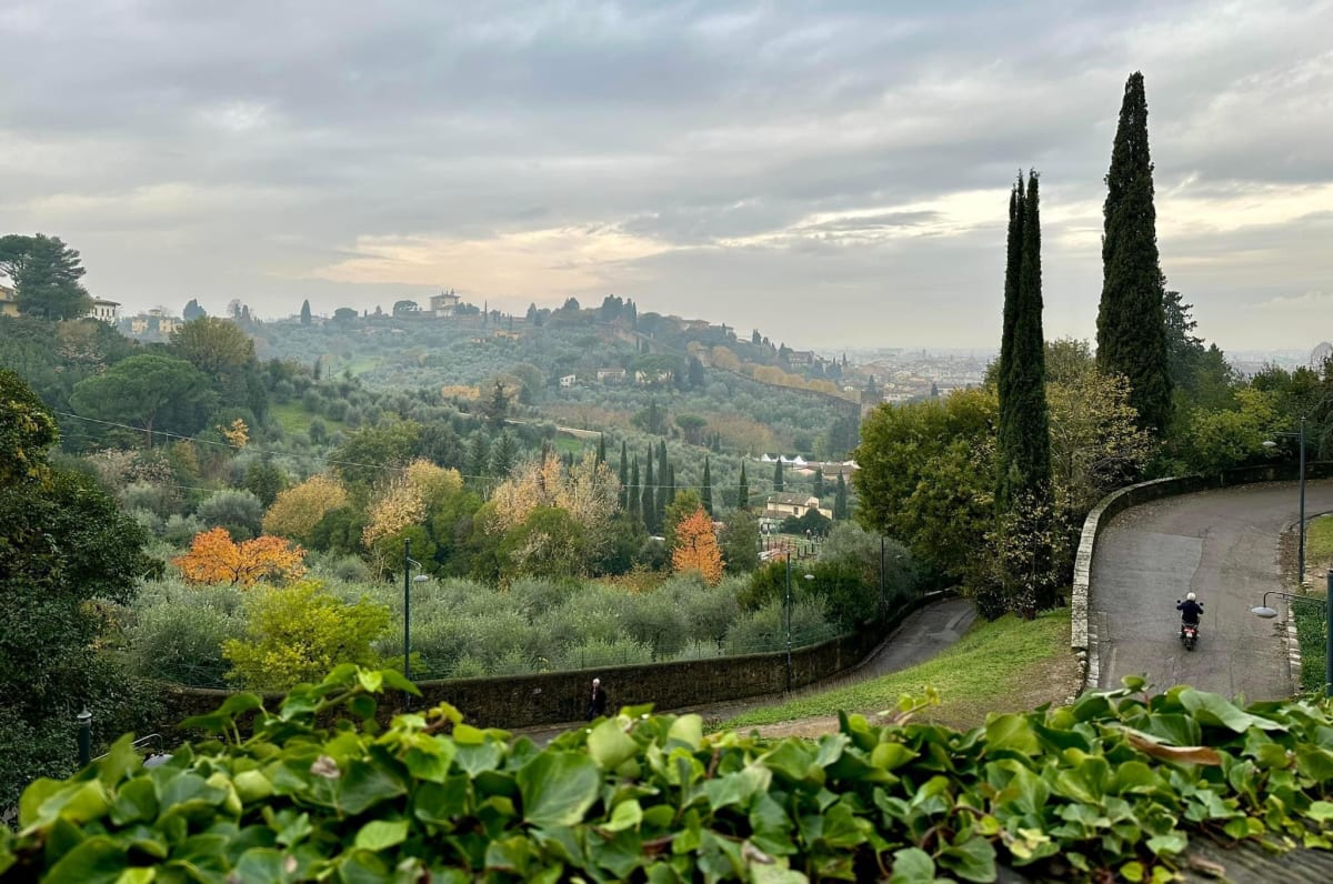 Viale by Louise O  Image: Firenze