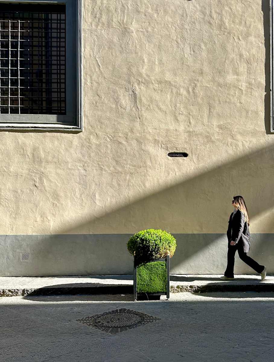 Green Space by Louise O, Image 1.