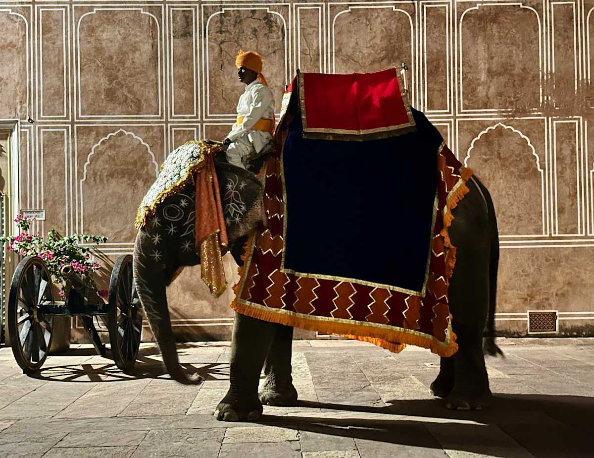 Night Light by Louise O  Image: Jaipur Royal Palace 