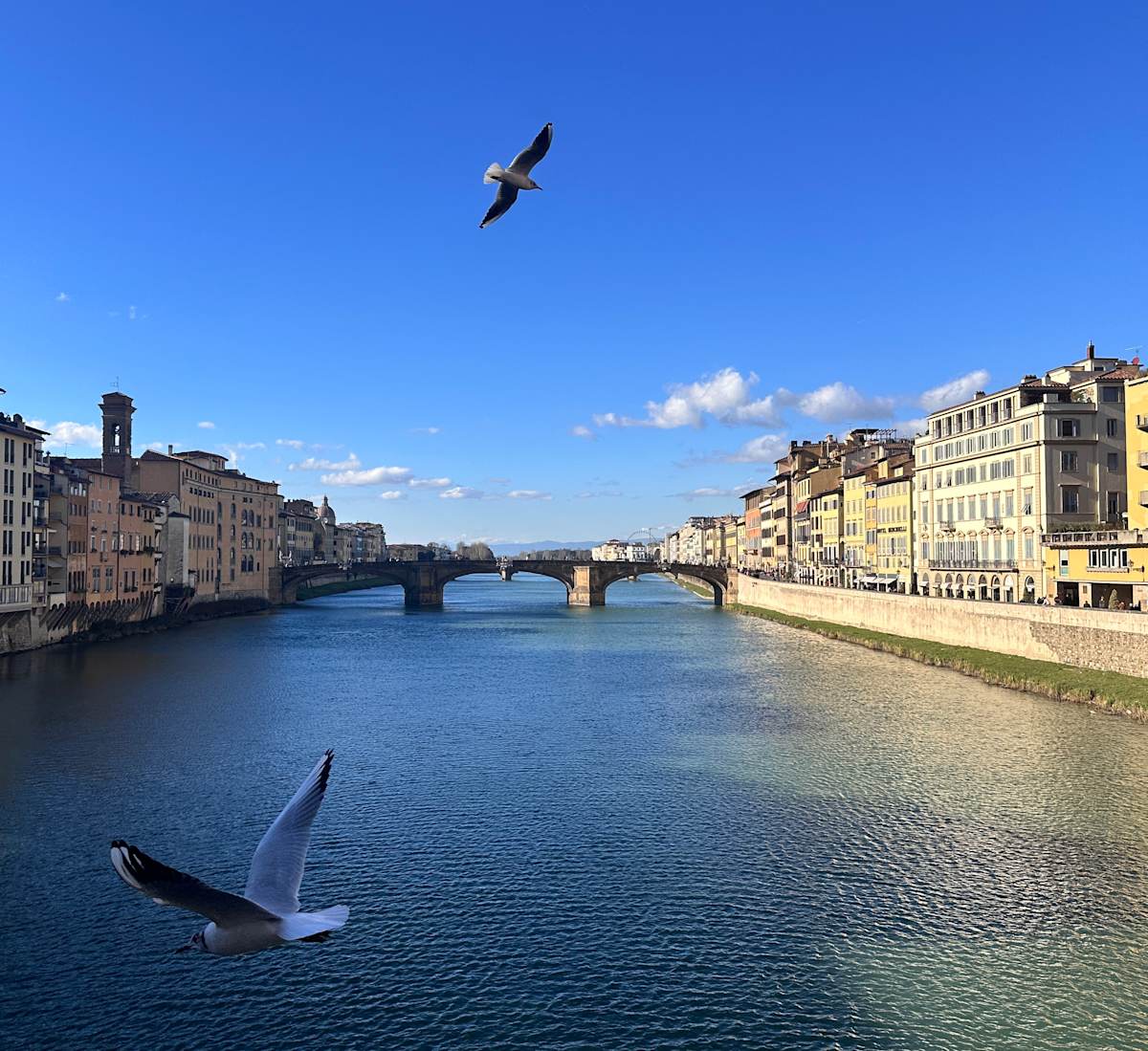 Flight by Louise O  Image: Arno River 
Firenze