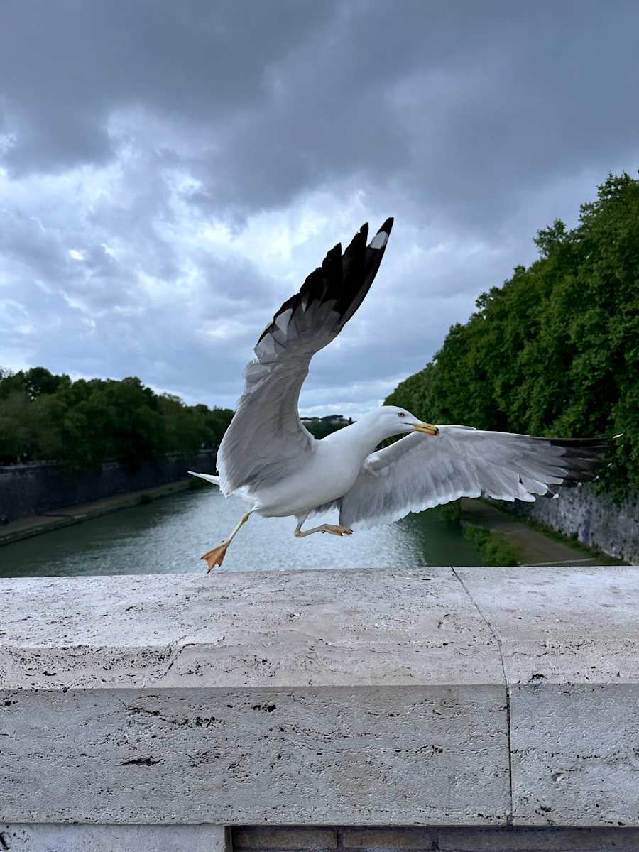 Landing by Louise O, Image 1.