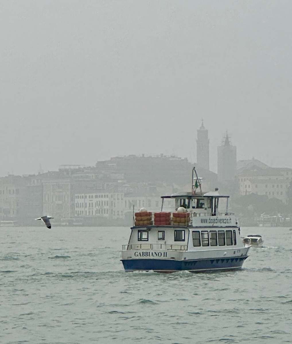 Midst by Louise O  Image: Venezia 