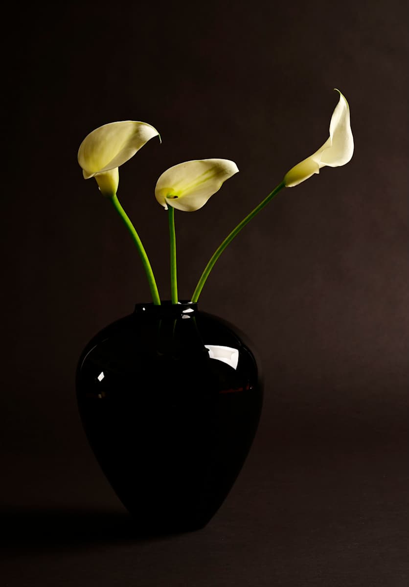 Lily by Louise O, Image 1.