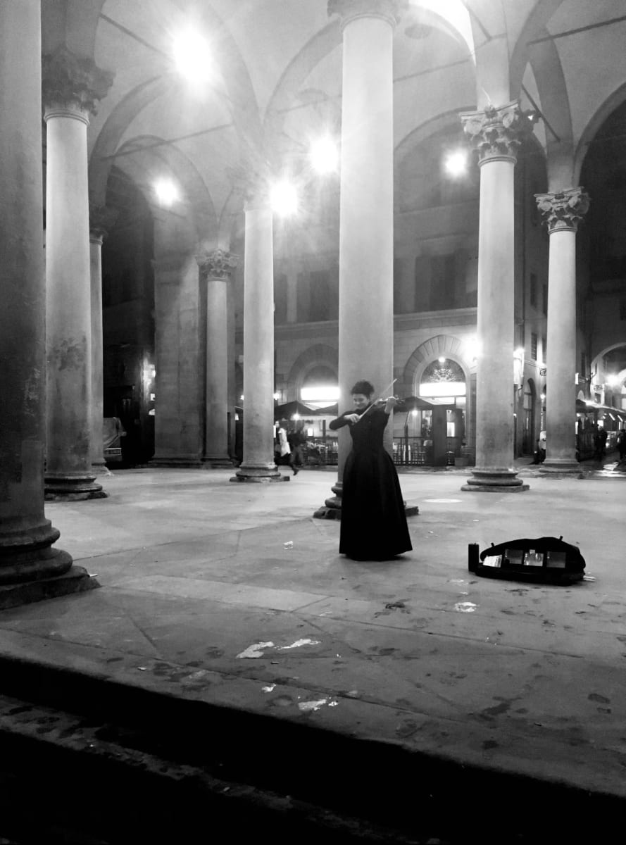 Music to the Night by Louise Olko 