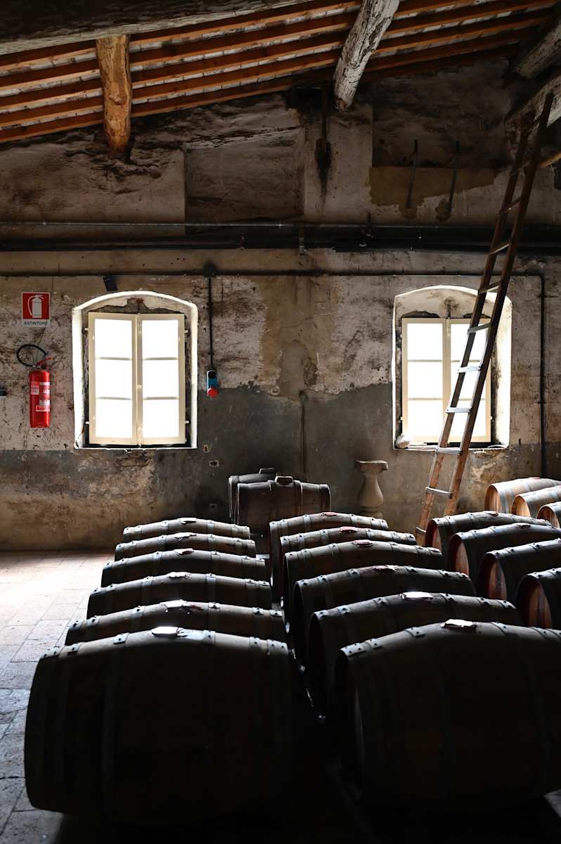 Reds Scape by Louise O  Image: Villa Le Corti Winery
Volatile Cocktail