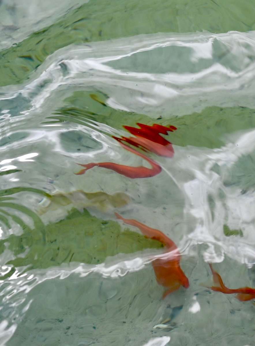 Abstract #31 by Louise O  Image: Chase