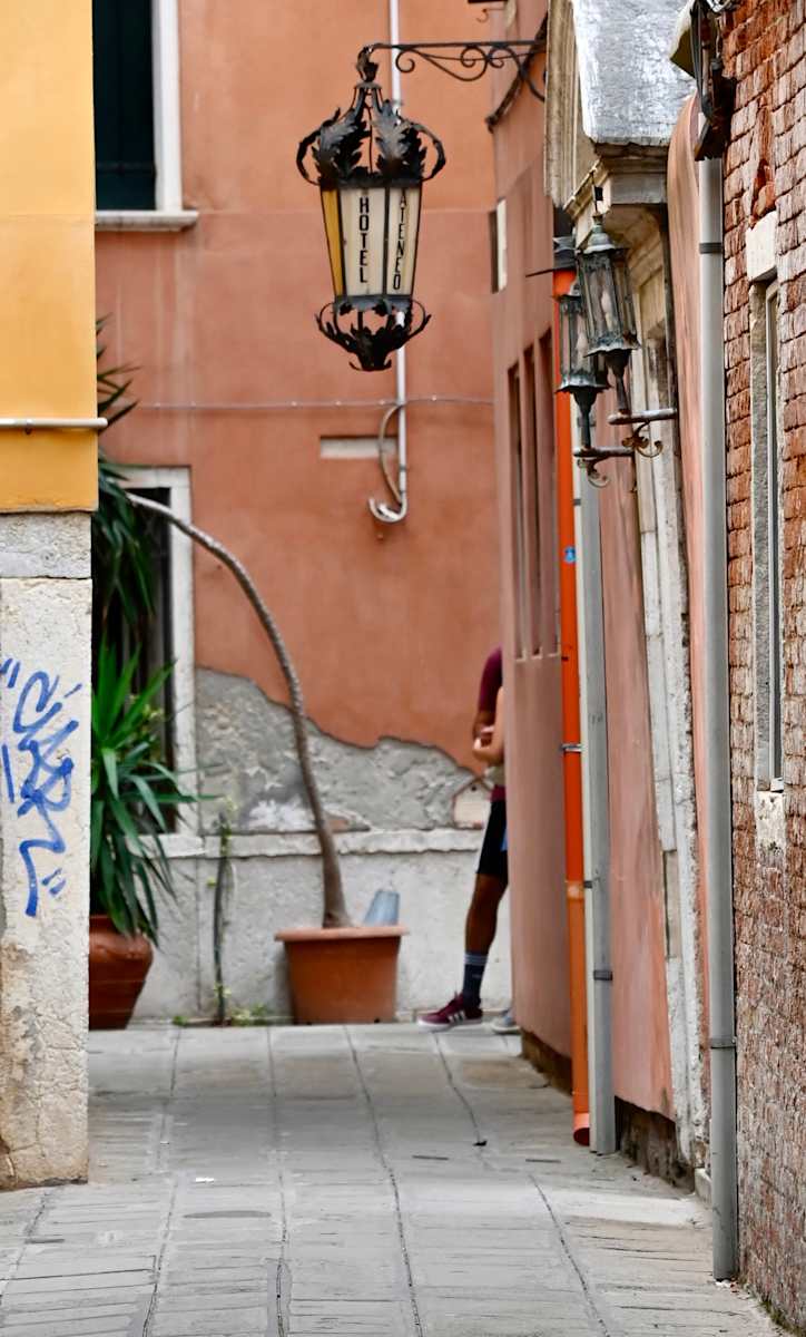 Cornered by Louise O  Image: Venezia 